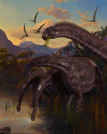 Sauropod dinosaurs  Cetiosaurus Dinosaur Art painting  herd Jurassic Pterosaur illustration